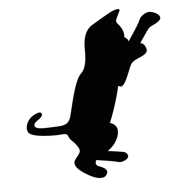 chat noir blanc debout- Jekca